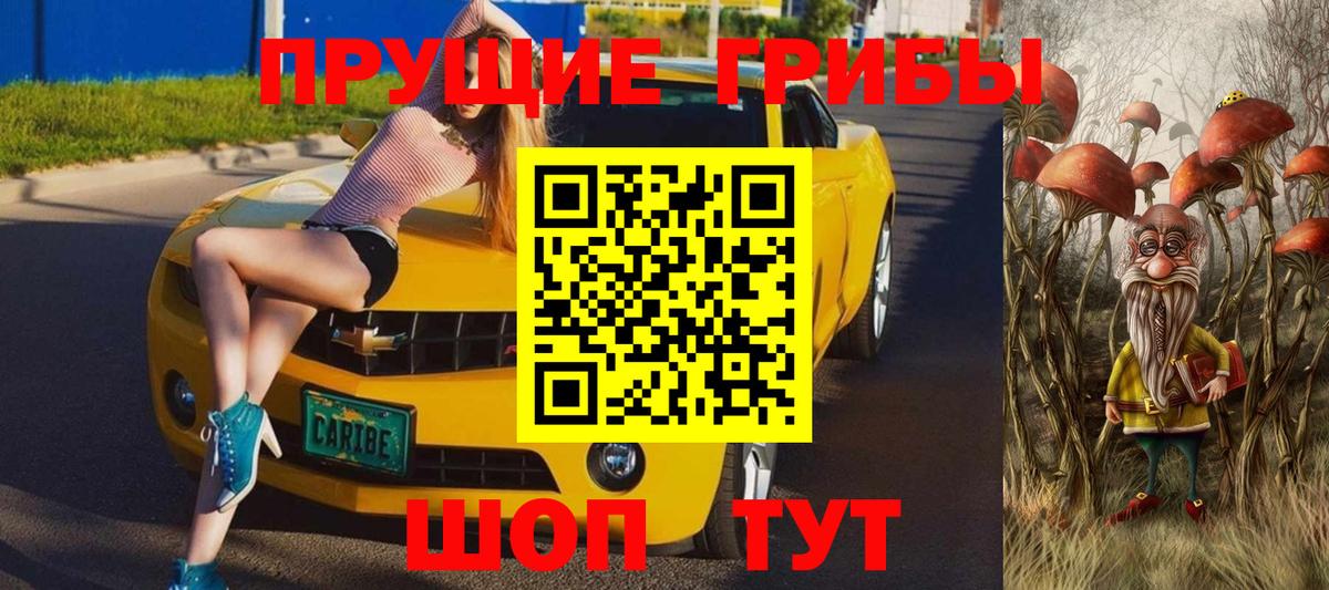 Псилоцибиновые грибы GOLDEN TEACHER  Псилоцибиновые грибы GOLDEN TEACHER  Вход с VPN  наркотики  Вязники 