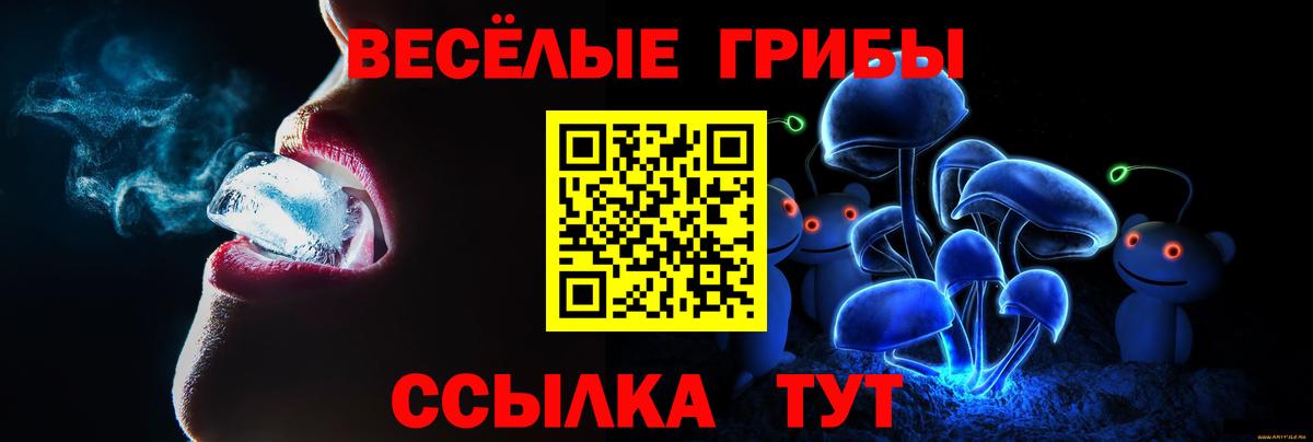 Псилоцибиновые грибы Cubensis Вязники